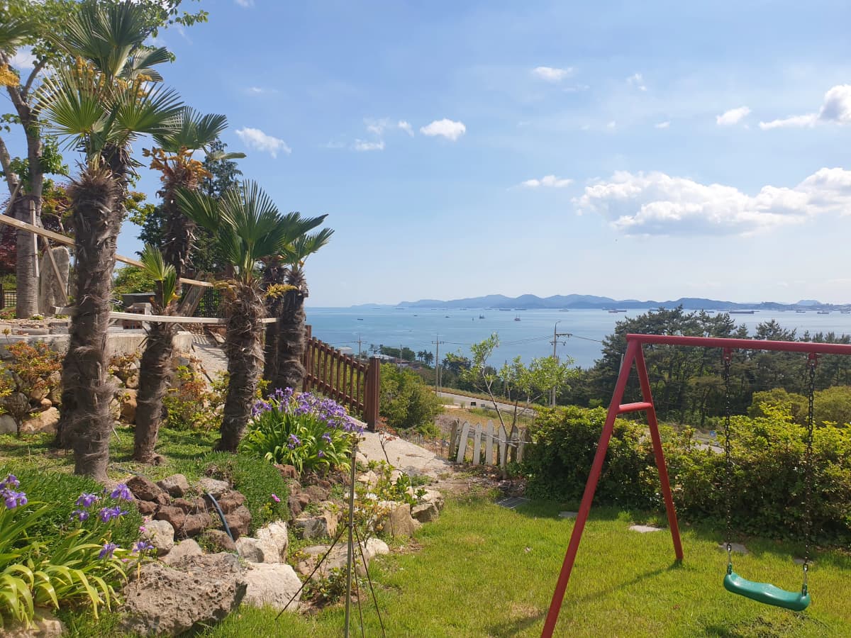 하늘빛바다펜션 봄 낮 그네와 야자수 너머로 바다가 내려다보이는 정원