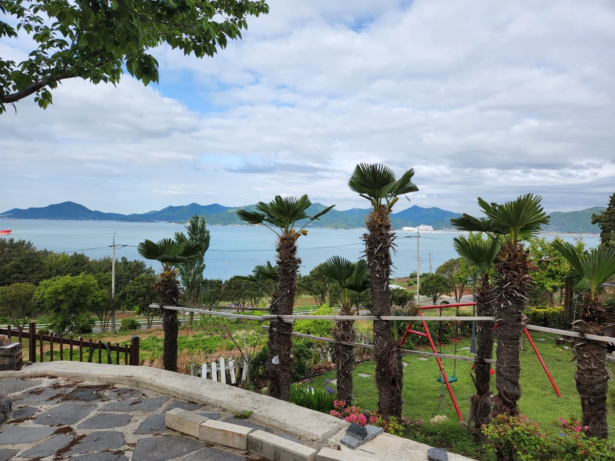 하늘빛바다펜션 봄 아침 야자수 너머로 남해 바다와 산 능선이 펼쳐지는 탁 트인 전망의 정원 풍경