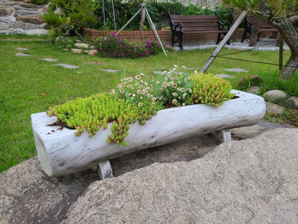 하늘빛바다펜션 봄 아침 통나무를 활용한 화분에 심긴 초록 식물과 작은 꽃들